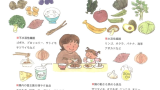 気持ちよくうんこできるコツ2 食物繊維のひみつデモ投稿